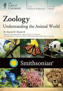 TTC Video - Zoology: Understanding the Animal World [Reduced]