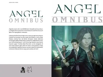 Angel Omnibus (2011)