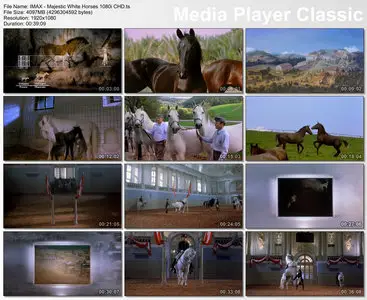 IMAX - Majestic White Horses [2001]