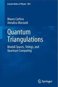 Quantum Triangulations: Moduli Spaces, Strings, and Quantum Computing (repost)