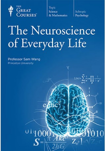 TTC Video - Neuroscience of Everyday Life