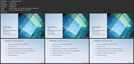 Sap Erp: Eine Anwendungsorientierte Einführung