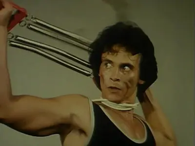 Ferocious Female Freedom Fighters (1982) 