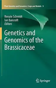 Genetics and Genomics of the Brassicaceae (Plant Genetics and Genomics: Crops and Models 9) by Renate Schmidt