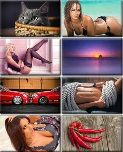 LIFEstyle News MiXture Images. Wallpapers Part (821)