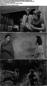 Down By Law (1986) Criterion Collection