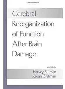 Cerebral Reorganization of Function after Brain Damage