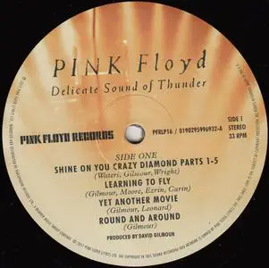 Pink Floyd - Delicate Sound Of Thunder (1988) [2017, Remastered, Vinyl Rip 16/44 & mp3-320 + DVD] Re-up