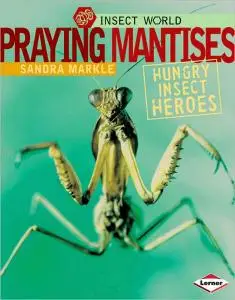 Praying Mantises: Hungry Insect Heroes