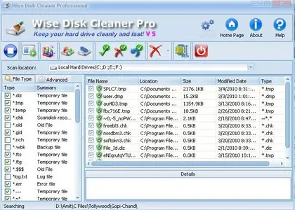 Wise Disk Cleaner Pro 5.41 Build 242 Multilanguage
