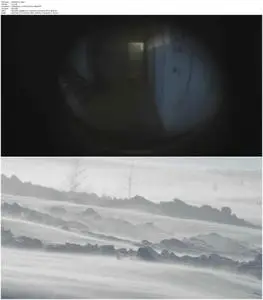 A Moon of Nickel and Ice (2017)