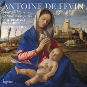 Stephen Rice, The Brabant Ensemble - Antoine de Févin: Missa Ave Maria & Missa Salve sancta parens (2018)