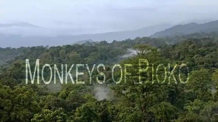 Smithsonian Ch. - Monkeys of Bioko (2020)