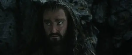The Hobbit: The Desolation of Smaug (2013)