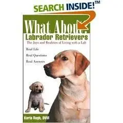 What About Labrador Retrievers: The Joy and Realities of Living with a Lab - Reup.