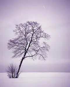 Super Widescreen Nature HQ Wallpapers Collection episode(28)