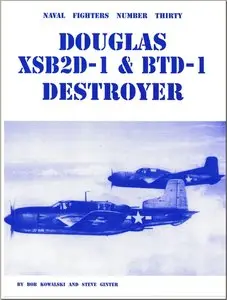 Douglas XSB2D-1 & BTD-1 Destroyer