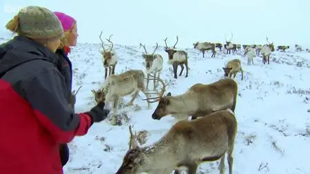 BBC - The Great British Winter (2013)