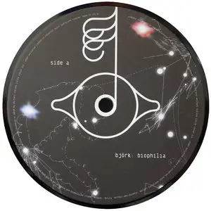 Björk – Biophilia (UK Original 2 LP) Vinyl rip in 24 Bit/96 Khz + CD-format 