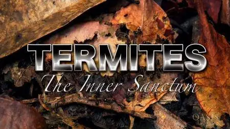 ORF - Termites - The Inner Sanctum (2011)