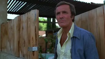 Killer's Delight (1978)