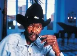Clarence 'Gatemouth' Brown - Down South In The Bayou Country - 1974 (2006)