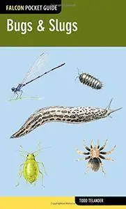 Falcon Pocket Guide: Bugs & Slugs (Falcon Pocket Guides)