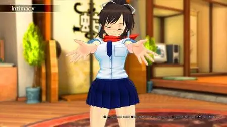 SENRAN KAGURA Burst Re:Newal+DLC (2019) + Patch