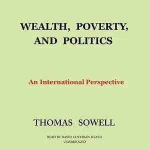 Wealth, Poverty, and Politics: An International Perspective