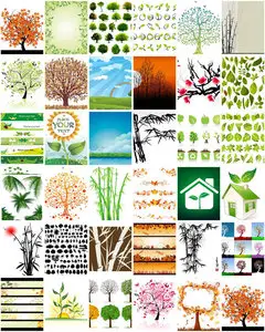  Amazing SS -  Nature & Environment 