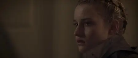 We Are What We Are (2013)