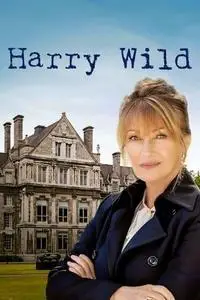 Harry Wild S02E03