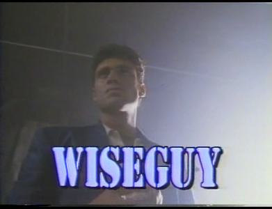 TV Series Wiseguy Season 4 1990 (Final Season)