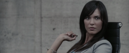 Operation Endgame (2010)