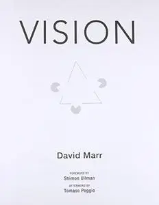 Vision: A computational investigation