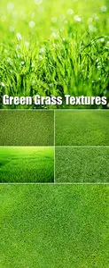 Stock Photo - Green Grass Backgrounds