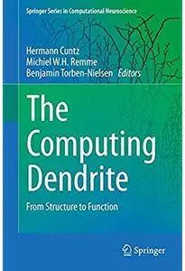 The Computing Dendrite: From Structure to Function [Repost]