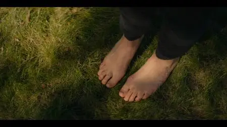 Share (2019)