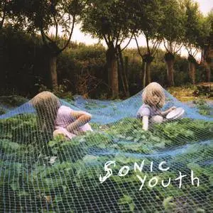 Sonic Youth - Murray Street (2002/2016) [Official Digital Download 24-bit/192kHz]