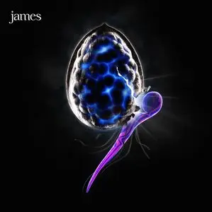 James - The Night Before (2010)