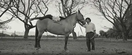 BBC Storyville - Gaucho Gaucho: Argentina's Last Ranchers (2025)