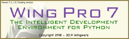Wing Pro 11.0.1 (x64)