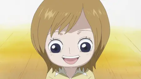 One Piece (1999) - S15E27 The Heros Last Moments! The Impact of Tigers Truth -Lia