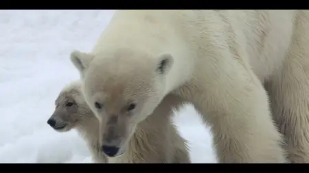 Our Oceans S01E04