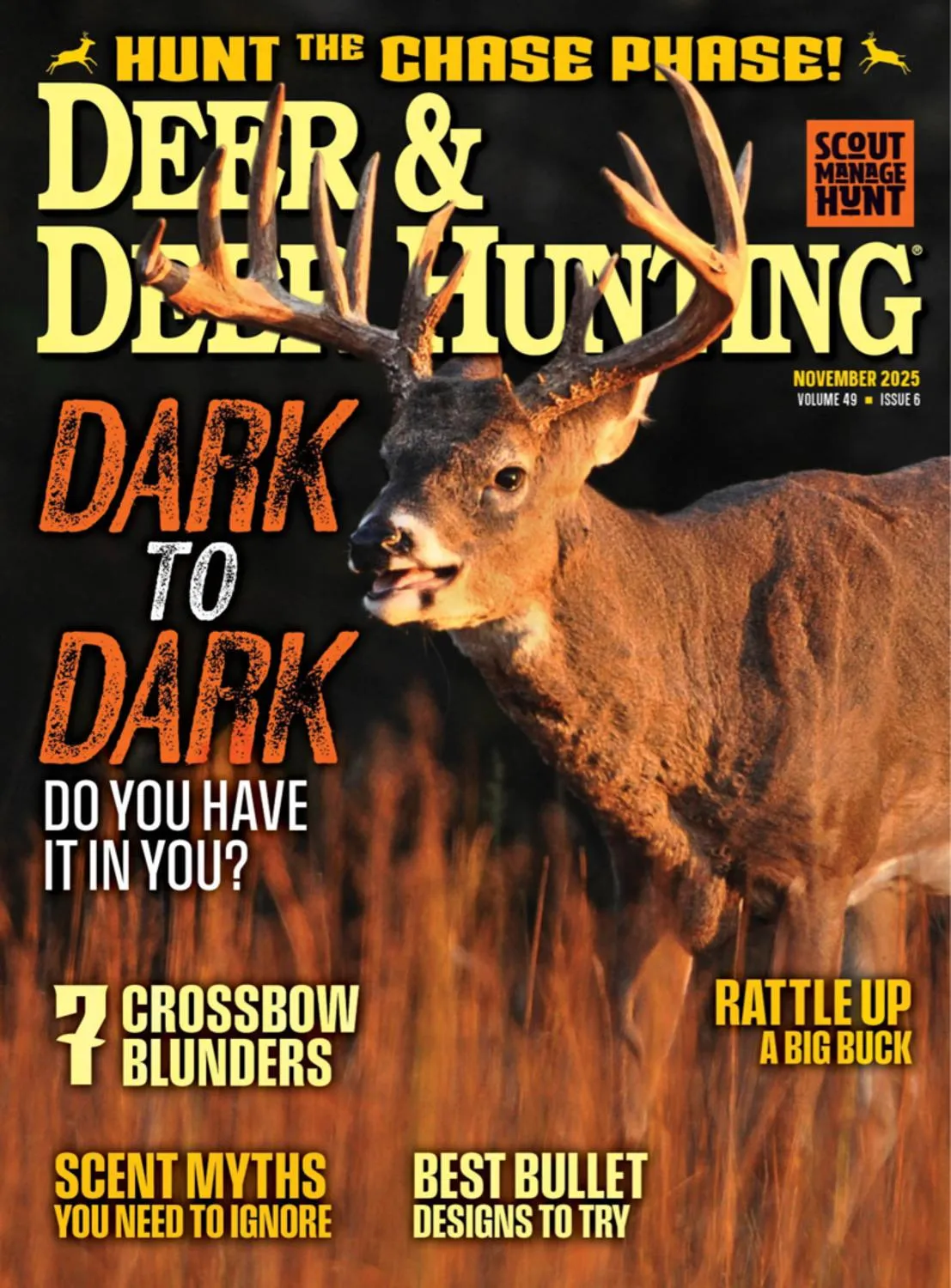 Deer & Deer Hunting - November 2025