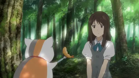 Natsume's Book of Friends - S06 (BDRip 1080p Hi10P AAC Opus)  | Natsume Yuujinchou Roku 7z