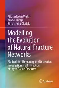 Modelling the Evolution of Natural Fracture Networks (Repost)