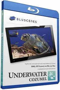 BluScenes: Underwater Cozumel (2010)