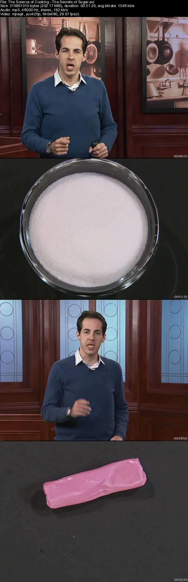 TTC Audition - The Science of Cooking: Secrets of Sugar