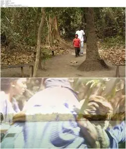 The Mirror Boy (2011)